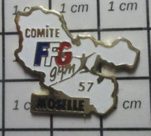 2422 Pin's Pins / Beau Et Rare : SPORTS / GYMNASTIQUE COMITE FFG MOSELLE - Gymnastics