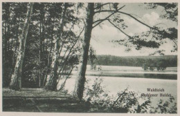 22842 - Torgau - Dahlender Heide - Waldteich - Ca. 1955 - Torgau