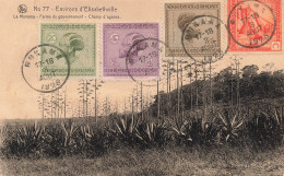 CONGO - Environs D'Elisabethville - La Munama - Ferme Du Gouvernement - Champ D'agaves - Carte Postale Ancienne - Kinshasa - Leopoldville (Leopoldstadt)