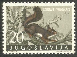 954 Yougoslavie Ecureuil Squirrel Eichhörnchen Eekhoorn Scoiattolo Ardilla MNH ** Neuf SC (YUG-369) - Rodents