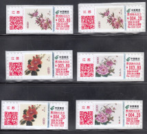 China 2024 The Flower Peach Blossom-camellia-peony ATM Stamps Label C 6v - Ongebruikt