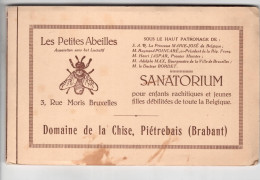 Piétrebais Sanatorium Les Petites Abeilles ( Carnet De 10 Vues ) - Incourt