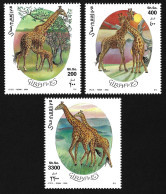 Somalia 2000 MNH Giraffes Savannah Animals Fauna Wild Life Giraffe Nature Africa Prairie MNH Luxe Full Set Stamps Serie - Giraffen