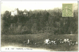 Thorens-Glières. Les Paturages Et Le Chateau De Thorens. - Thorens-Glières