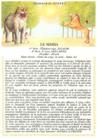 Astrologie - Astrologie Hindoue - Le Simha - Illustration Chantal Beaumont - CPM - Carte Neuve - Voir Scans Recto-Verso - Astrologie