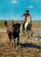 Animaux - Taureaux - Camargue - Gardian à La Poursuite D'un Taureau - Cheval - CPM - Voir Scans Recto-Verso - Toros