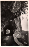 RECTO/VERSO - CPSM - SAINT HILAIRE DU TOUVET - PLATEAU DES PETITES ROCHES - LE TUNNEL - Saint-Hilaire-du-Touvet