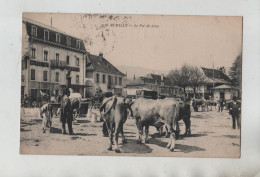 Rumilly Le Pré De Foire Bovins Hôtel Du Commerce 1915 - Rumilly