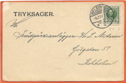 DK119_* POSTAL STATIONARY * SENT 1907 - Postal Stationery