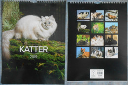 Calendar: Katter 2019 - Grossformat : 2001-...