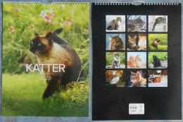 Calendar: Katter 2020 - Grossformat : 2001-...