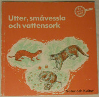 På Nära Håll - Utter, Småvessla Och Vattensork - Scandinavian Languages