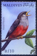 Maldives 2000 MNH, Birds Island Thrush - Songbirds & Tree Dwellers