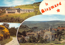 48-LE BLEYMARD-N°C-3646-D/0375 - Le Bleymard