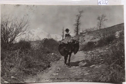 Paysanne De Savièse (Valais) - Sur Un Mulet Déjà Chargé, Au Début Des Années 1920 (16'552) - Vex