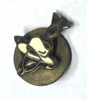 Ancien Insigne De Boutonnière - Militaria - Amicale Des Anciens SAHARIENS - Airforce