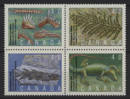 Canada - 1991 Petrifications Block Of Four MNH__(TH-25178) - Blocs-feuillets