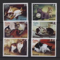 Cuba - 2009 Cats MNH__(TH-27501) - Neufs