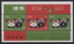 Ireland - 2007 Year Of The Pig Block MNH__(TH-25955) - Blocs-feuillets