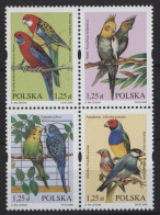 Poland - 2004 Exotic Birds Block Of Four MNH__(TH-27238) - Blocks & Kleinbögen