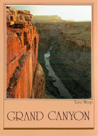 Etats Unis - Grand Canyon - Toro Weap - Etat De L'Arizona - Arizona State - CPM - Carte Neuve - Voir Scans Recto-Verso - Gran Cañon
