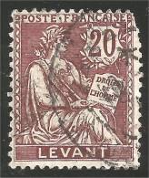 371 Levant 1902 20c Brun Lilas (f3-ALA-17) - Used Stamps