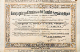 Vienne 1923: Compagnie Des Chemins De Fer Danube - Save - Adriatique - Avec Coupons - Ferrocarril & Tranvías