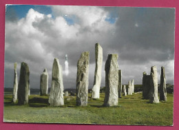 + Lewis (Western Isles - Ross-shire - Ecosse) Calanais Standing Stones 2scans 05-08-2013 Mégalithes Menhirs - Ross & Cromarty