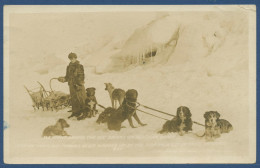 Hundeschlitten An Der Alpskan Coast Alaska, Gelaufen 1925 (AK3485) - Other & Unclassified