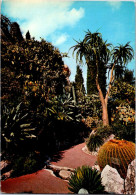 7-4-2024 (1 Z 18) Monaco (posted To France 1970's ?) Exotic Cactus Garden - Cactusses