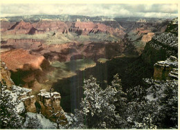 Etats Unis - Grand Canyon - Winter Decorates The Canyon With The Additional Color Of Fresh White Fallen Snow Adding To T - Gran Cañon