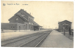 CPA Capelle Au Bois, La Station - Kapelle-op-den-Bos