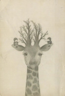 GIRAFFE Animale Vintage Cartolina CPSM #PBS958.IT - Girafes