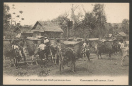 Carte P ( Laos / Caravane De Ravitaillement Par Boeufs-porteurs ) - Laos