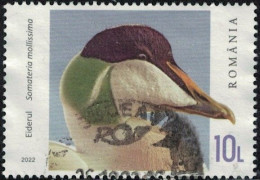 Roumanie 2022 Oblitéré Used Canard Plongeur Somateria Mollissima Eider à Duvet Y&T RO 6896 SU - Used Stamps