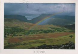 98990 - Irland - Killarney - 2013 - Kerry