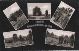 30338 - Lüneburger Heide - Mit 5 Bildern - 1962 - Lüneburger Heide