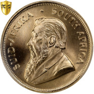 Afrique Du Sud, Krugerrand, 1982, Pretoria, Or, PCGS, FDC, KM:73 - Sudáfrica