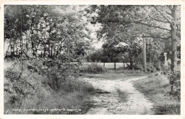 PAYS-BAS - Laag Soeren - Inkyk Ochter't Veentje - Vue D'une Route - Arbres - Forêt - Carte Postale Ancienne - Rheden