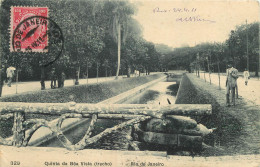 BRESIL  RIO DE JANEIRO QUINTA DA BÖA VISTA TRECHO - Rio De Janeiro