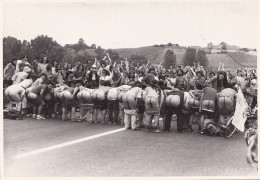 68 ) NEUF BRISACH - PONT DU RHIN - RASSEMBLEMENT ANTI NUCLEAIRE EN 1981 - LES MANIFESTANTS MONTRENT LEURS POSTERIEURS  - Neuf Brisach