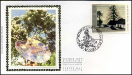 2462 - FDC Zijde - Belgische Kunstwerken  #2   - 1991-2000