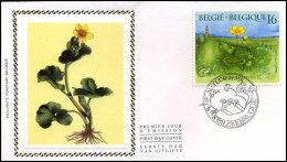 2572 - FDC Zijde - Natuur - Planten  #1   - 1991-2000