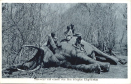 DOA - Benediktinermissionäre Von St. Ottilien - Jagd - Ehemalige Dt. Kolonien