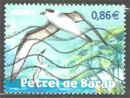 331eu-39 France Pétrel Sturmvogel Stormvogel Oiseau Bird Uccello Vogel - Mouettes