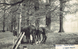 Tervueren Dans Le Parc  Abreuvoir Militaire - Tervuren