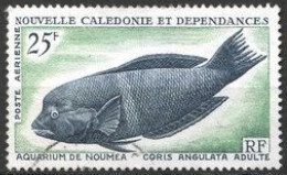 Nouvelle Calédonie - 1965 - PA N°83 Oblitéré - Used Stamps
