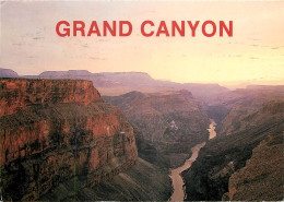 ETATS UNIS USA ARIZONA GRAND CANYON - Andere & Zonder Classificatie