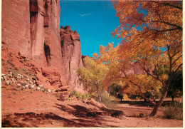 ETATS UNIS USA ARIZONA  - Sonstige & Ohne Zuordnung