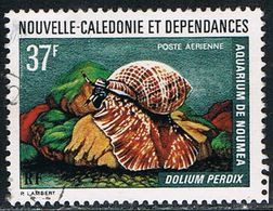 Nouvelle Calédonie - 1974 - PA N° 152 Oblitéré - Used Stamps